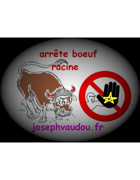 Arrête Boeuf Racine 