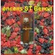 encens ST Benoit 