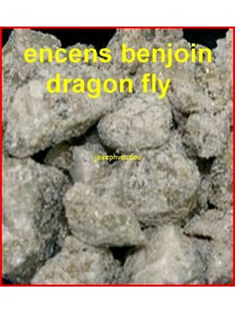 ENCENS BENJOIN DRAGON FLY