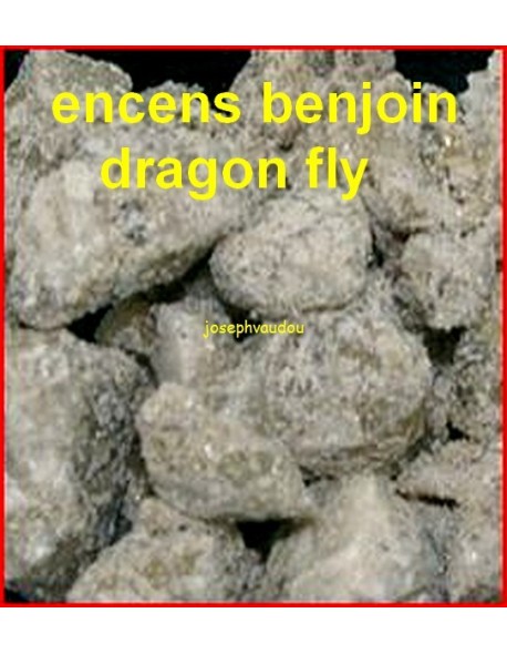 ENCENS BENJOIN DRAGON FLY