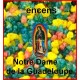 NOTRE DAME DE LA GUADELOUPE