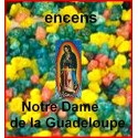 NOTRE DAME DE LA GUADELOUPE