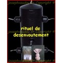 rituel de désenvoutement - bougie 7 mèches 