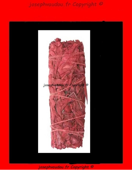 Bâton sauge sang de dragon
