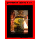 protection vaudou pour toute la vie  
