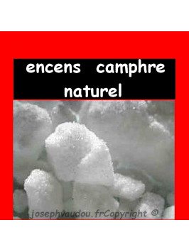 Encens de Camphre