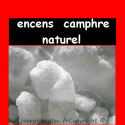Encens de Camphre