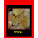 encens copal 