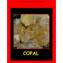 encens copal 